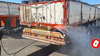 Cleaning an ABANDONED A Truck Full of Moss and Spider Nests! | truck wash🤩🪣🧼🫧