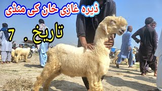 dera ghazi khan bakra mandi update today | dera ghazi khan mundra mandi | bakramandi2014