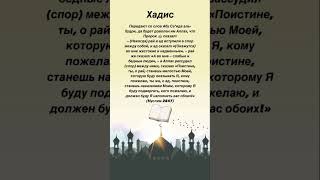 Рай и ад вступили между собой в спор . #хадис #hadees #ислам #islam