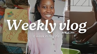 Weekly Vlog: Work With Me| Study with me and| introvert life