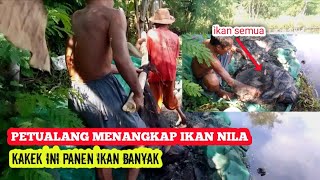 PETUALANG NANGKAP IKAN NILA !!! KAKEK INI PANEN IKAN NILA BABON BANYAK !!!