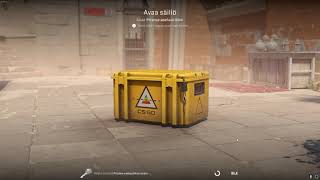 DAY 309 OPENING CS2 CASES UNTIL I GET GOLD!