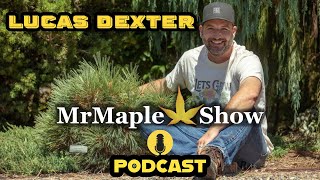 Advanced Plant Collector Lucas Dexter | MrMaple Show Podcast