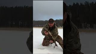 Покусанная щука  #youtubeshorts #карелияжизнь #рыбалка #снеготехника #карелия #щука #fishing