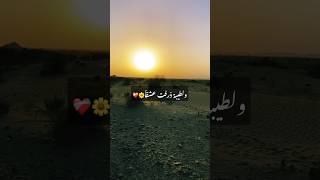 Raqqat Ayina Ya🥀🌸||رقتَ عینایا شوقاً #islam# islamic status #naat #maherzain #sunset #views #viral