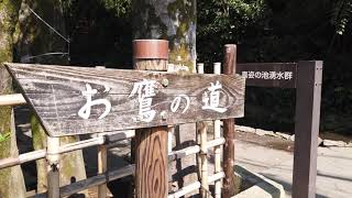 国分寺　お鷹の道