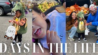 trunk or treat 🎃and kru's first time at the zoo🦁! | WKND VLOG