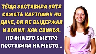 🌷Тёща набросилась на зятя за то, что не хотел копать картошку на даче, но потом...