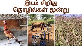 ஒரு ஏக்கர் நிலத்தில் மூன்று வருமானம்