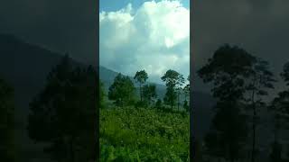 pintu gerbang fotografi gunung merapi #1000subscriber #fotografia #gunungmerapi