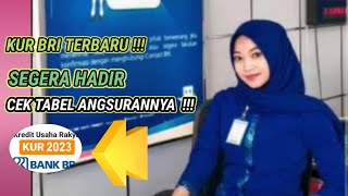 KUR BRI Terbaru ada cicilan 300 ribuan,bunga rendah @bubink80family