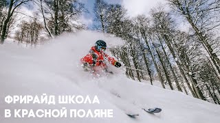 Школа фрирайда Bird Travel в Красной Поляне