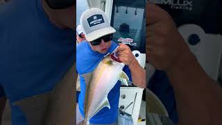 Fishing with REEL DREAM CHARTERS PT.3