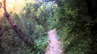 Mount Diablo Secret Trail