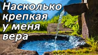 Насколько крепкая у меня вера | Проповедь | МСЦ ЕХБ