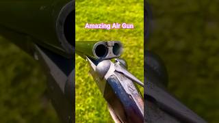 Amazing Air Gun #youtubeshorts #shorts #shortvideo