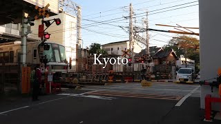 Kyoto, Nara, Wazuka, Uji | Part 1 | Japan 2019