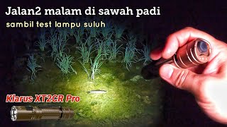 Berjalan malam di sekitar sawah padi sambil test lampu suluh | Klarus XT2CR Pro.