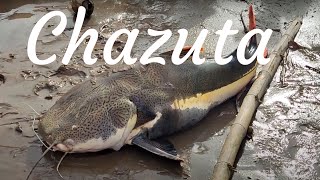 Amazon Fishing | RedTail Catfish | CATCH-CLEAN-COOK | Chazuta-Peru | 2023