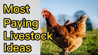 MOST PAYING LIVESTOCK IDEAS # Livestock ideas that requires less capital#