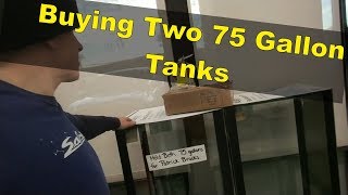 Buying Two 75 Gallon Tanks