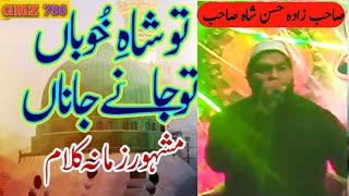 Tu shah e khuban tu jane jana || sahib zada Hassan shah sahib || viral naat | naat | تو شاہ خوباں