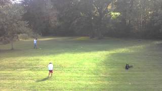 Mike & Pierce playing frisbee in the backyard