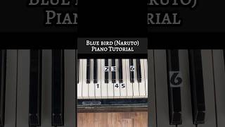 Blue Bird (Naruto) Piano Tutorial #shorts