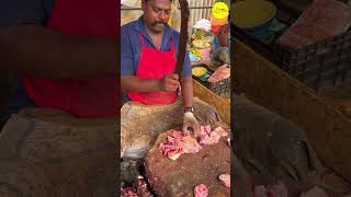 KASIMEDU SPEED SELVAM GROUPER FISH HEAD CUTTING VIDEO \ cutting focus #kasimeduselvam #bigfish