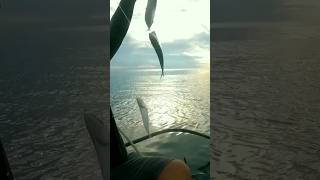 3 Catch Trolling Fishing #Shorts #Fishing #Sea #BuhayProbinsya #Mangingisda #Trolling #Viral