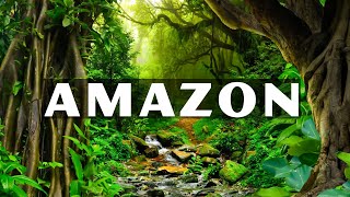 FLYING OVER AMAZON 4K - Relaxing Music Along With Beautiful Nature Videos - 4K Video HD