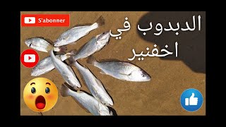 شوفو شحال صيدنا ديال دبدوب في رحلة صيد الى الصحراء