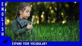 Dandelions | Expand your VOCABULARY