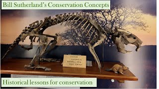 Historical lessons for conservation