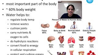 Water Properties (Unit 1 - Video 4)