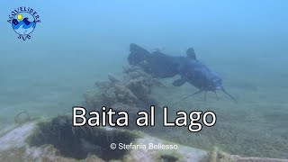 Baita al Lago - Immersione al lago di Godego a Luglio 2023 | Tanto pesce e relitti sommersi 4K