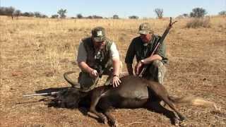 BLACK WILDEBEEST SAFARI: KILL SHOT