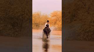 Dubai desert after rain #equestrian #horseriding #horserid #beach #horseride