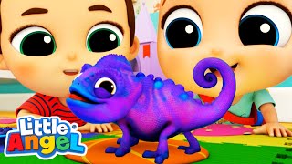 My New Little Pet | Baby John’s Playtime Songs & Nursery Rhymes @littleangel