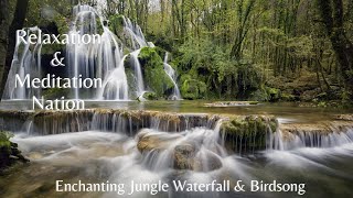 Enchanting Jungle Waterfall | Serene Birdsong Ambience for Relaxation and Meditation