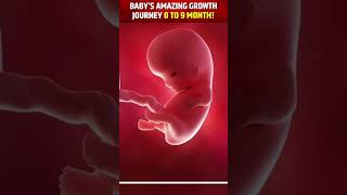 माँ के गर्भ में बच्चे का विकास देखिये! HOW MIRACLE IS FORMED IN MOTHER'S WOMB!🥹😍👼