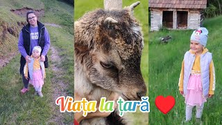 In vizita la sora mea la țară/Haideți să vedeți ce am făcut #viralvideo