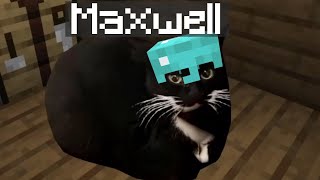 Maxwell The Cat In Minecraft