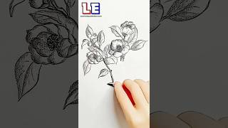 Acrylic Flowers Drawing | Acrylic Pencil Sketch of Flowers | Nature Drawing #shorts #drawing #art