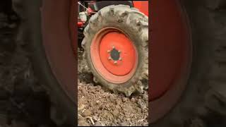 कुबोटा MU4501 ट्रॅक्टर डेमो तिर्री Kubota MU4501 Tractor Demo With cultivator