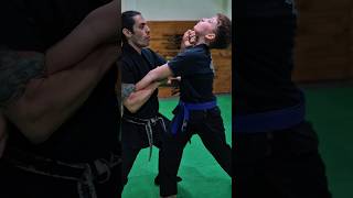 Golpe Ninja secreto (koppoken) #escoladeninjas #ninjutsu #ninja #kotatsudojo #bujinkan