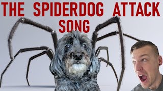 Attack of the SPIDERDOG - dumb song