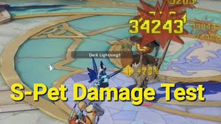 S-Pet Damage Test Ragnarok Origin Global