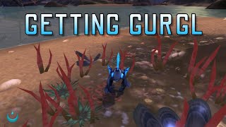 Getting Gurgl - A Quick Guide