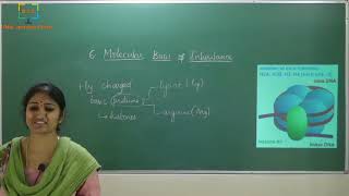 Class 12, Biology Chapter 6 - Molecular Basis of Inheritance, class 2